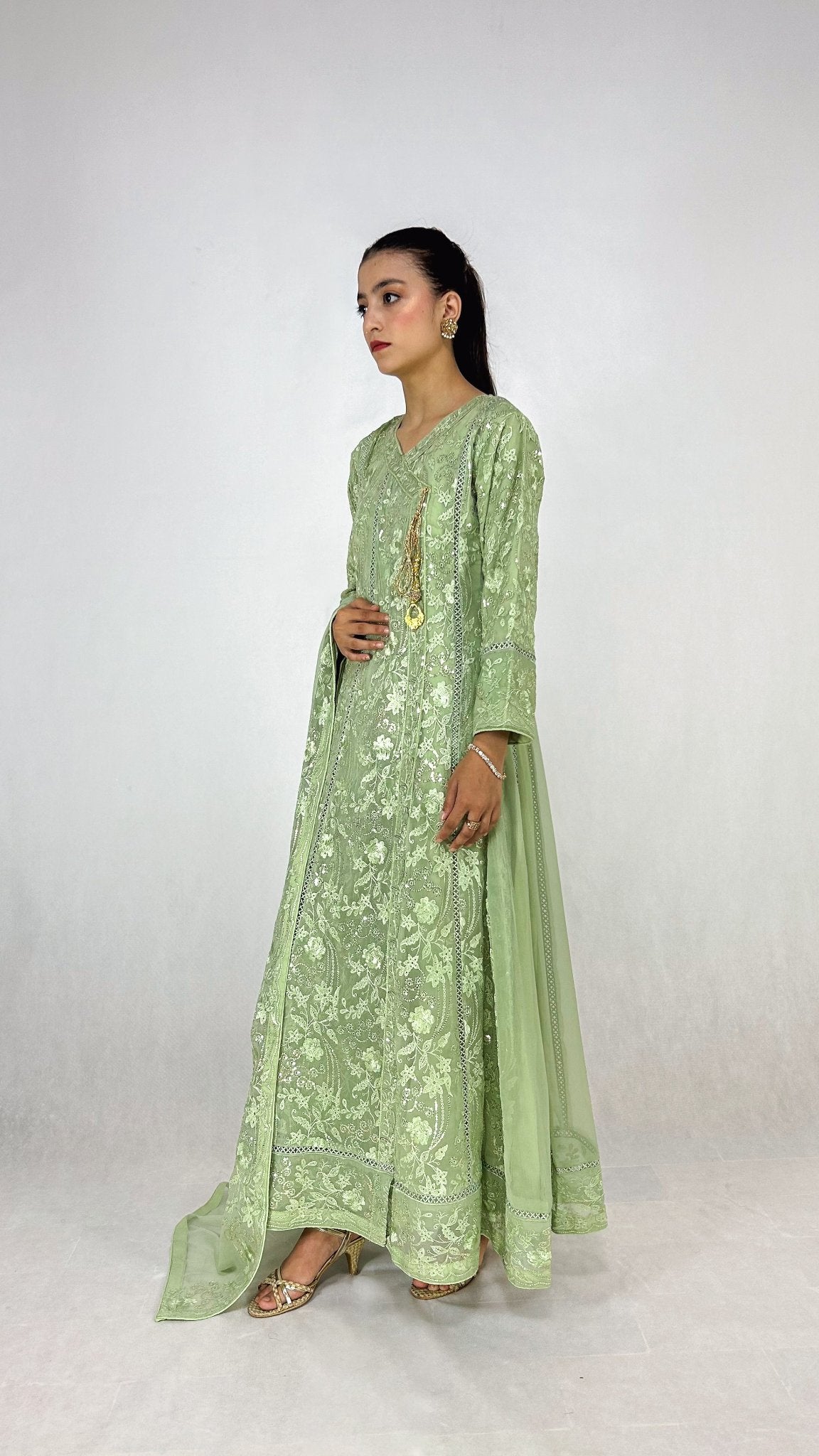 Light Olive Embroidered Anarkali Dress Chiffon Long Frock Maxi Side Look