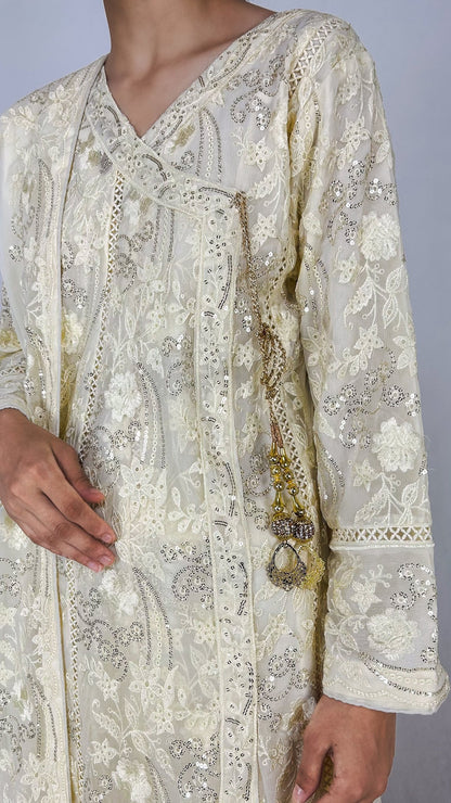 Ivory Embroidered Chiffon Indian Anarkali Dress - Long Frock Maxi Detailed Embroidery Look